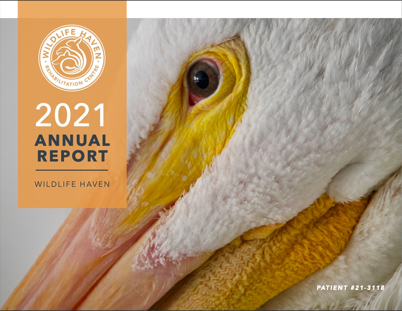 2021 Annual Report