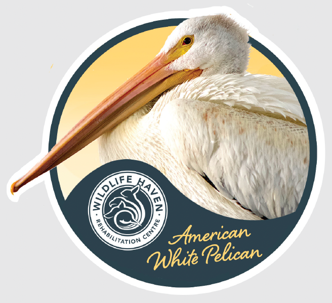 Vinyl Wildlife Stickers