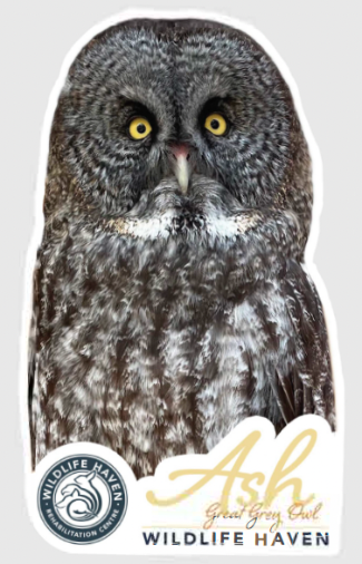 Vinyl Wildlife Stickers