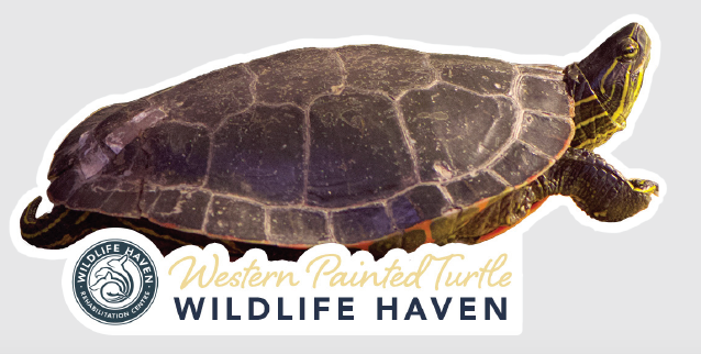 Vinyl Wildlife Stickers
