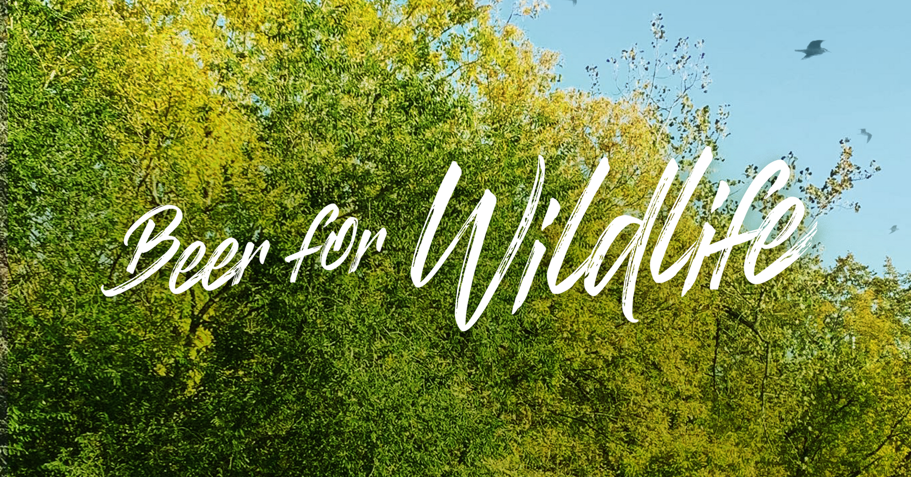 Beer for Wildlife - July 17 at The Beer Can!