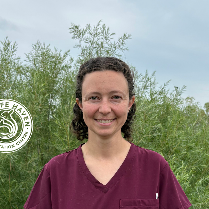 New Vet, Dr. Casey, joins Wildlife Haven team!