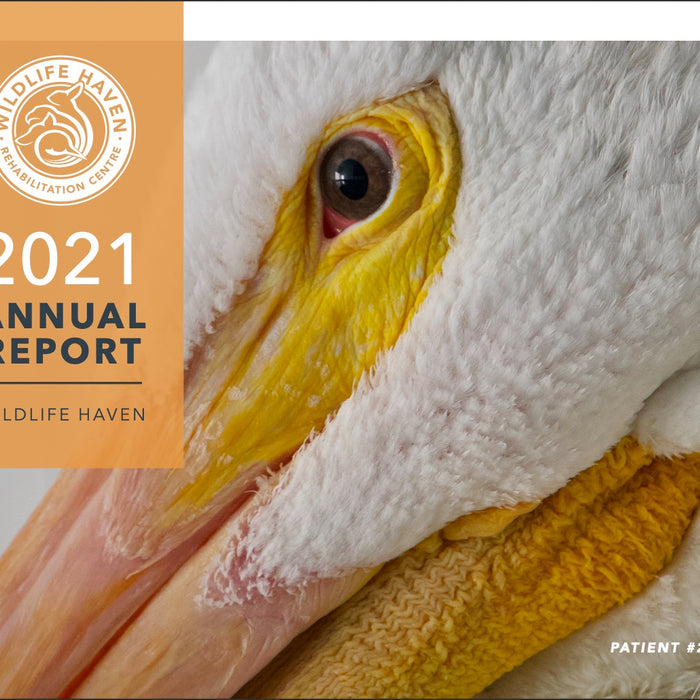 2021 Annual Report