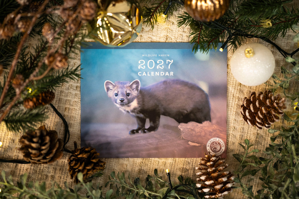 Wildlife Haven Calendar 2027