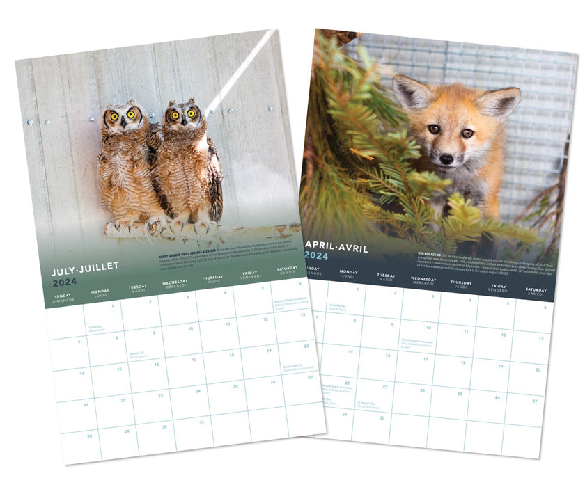 Wildlife Haven 2024 Calendar