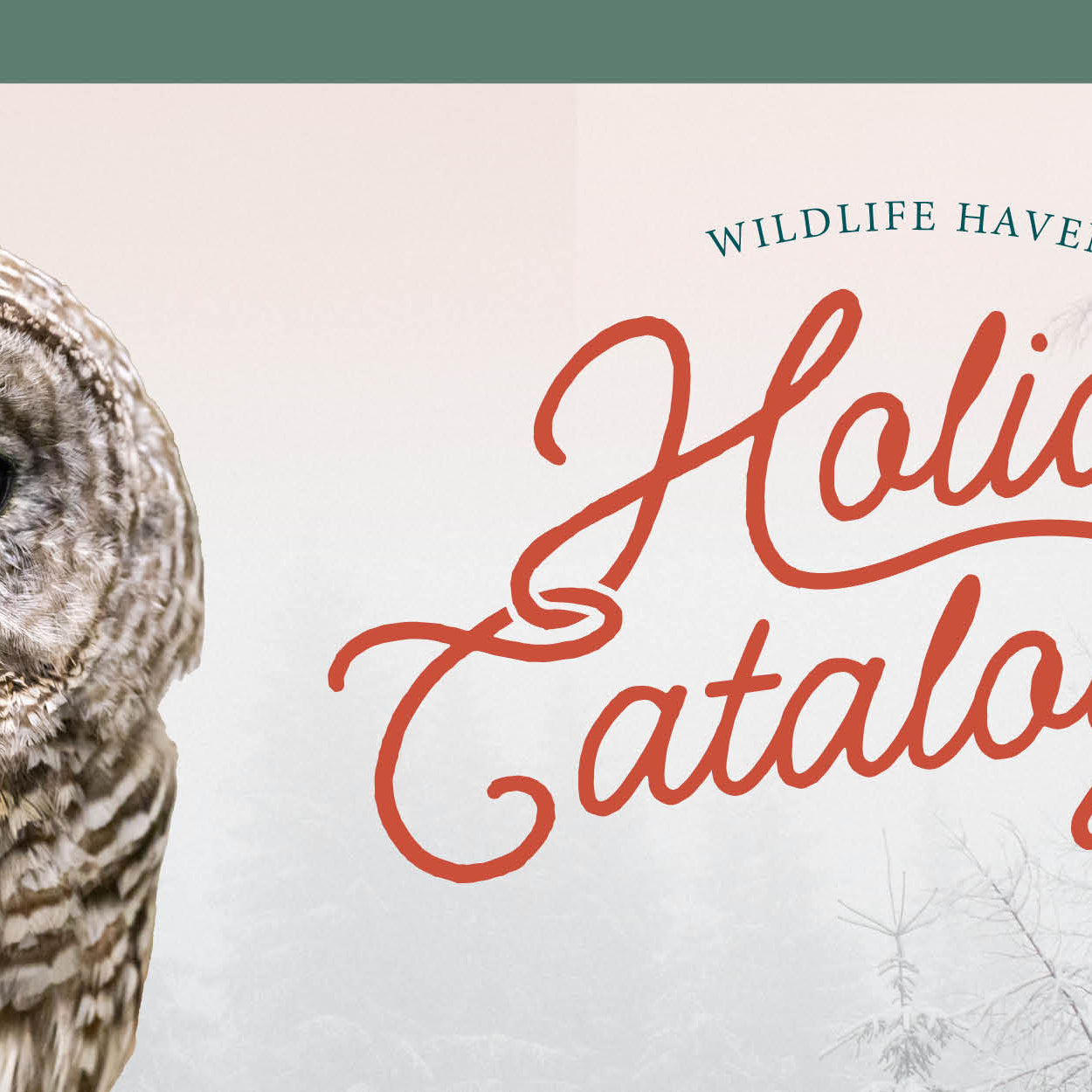 Giving Catalogue Website Header.jpg__PID:e28d0cef-efbe-4163-944a-cf4fba5cbab9