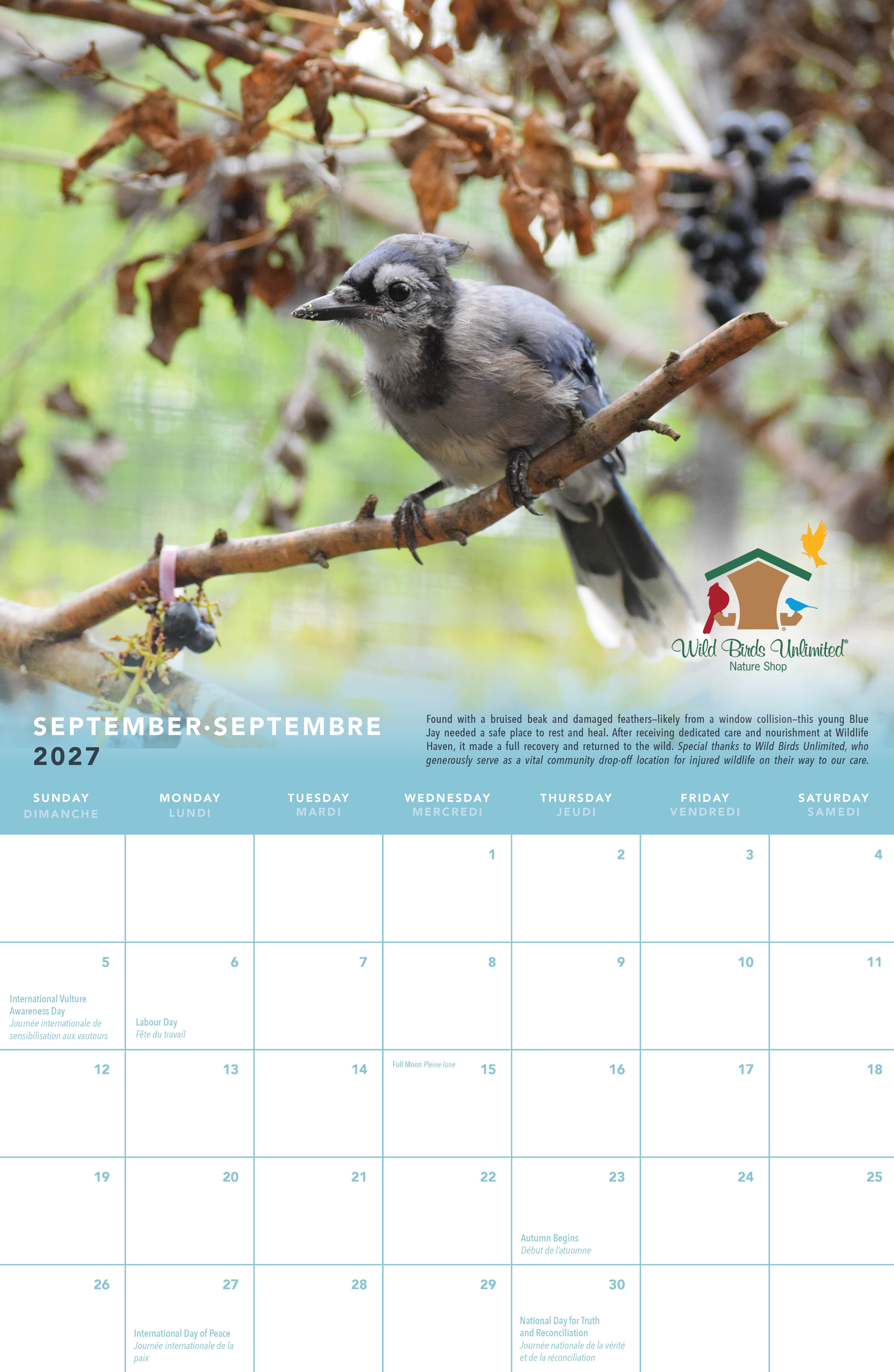 Wildlife Haven Calendar 2027