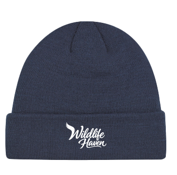 Toque